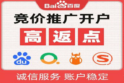 案例分析：SEM托管服务助力电商销量倍增